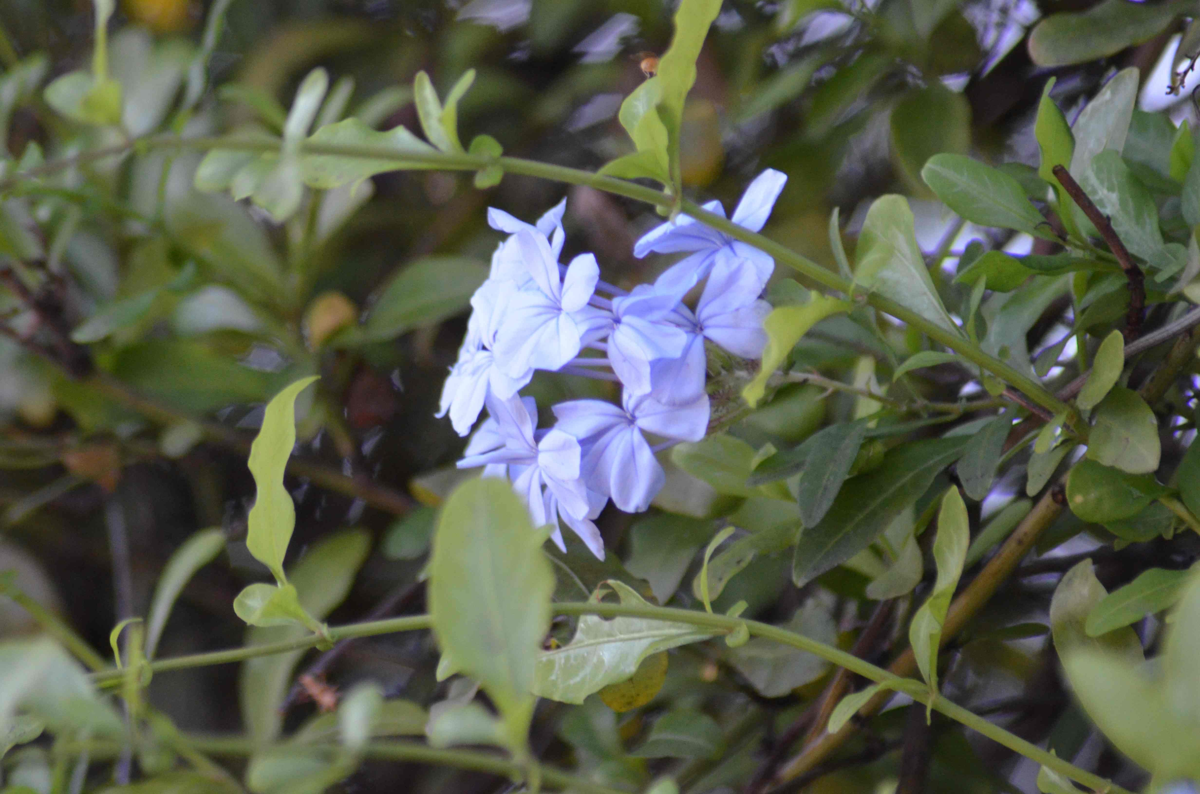 No s'ha trobat l'arxiu